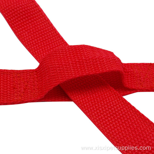Pet Dog Leash Double Ended Leads Training Rope